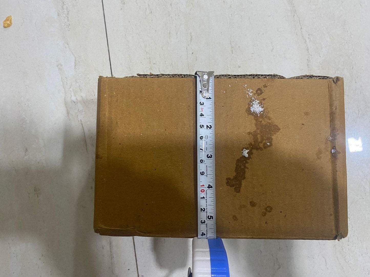 Lucky Owl Figurine Manifested Home Decor